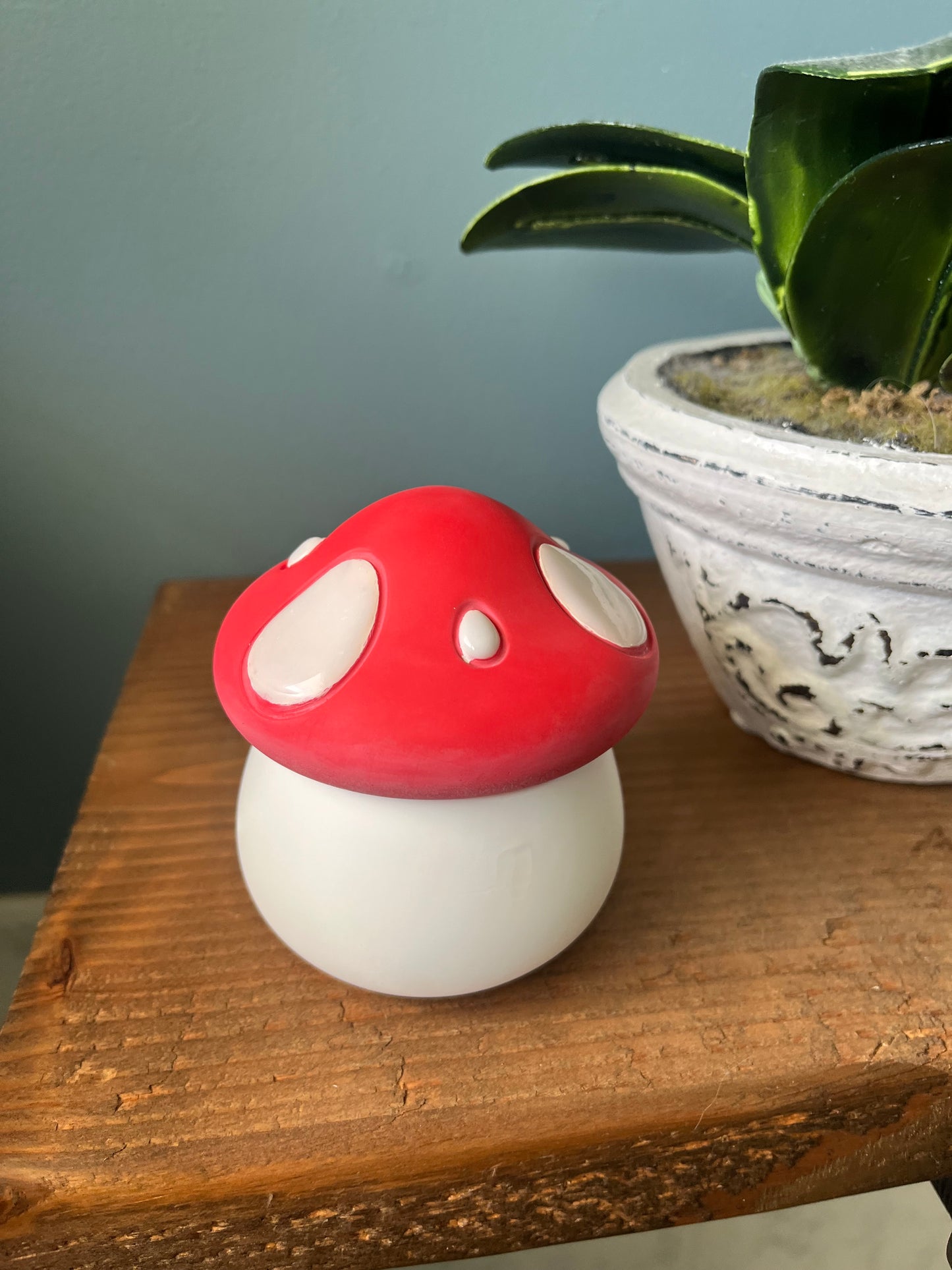 Mushroom Jar