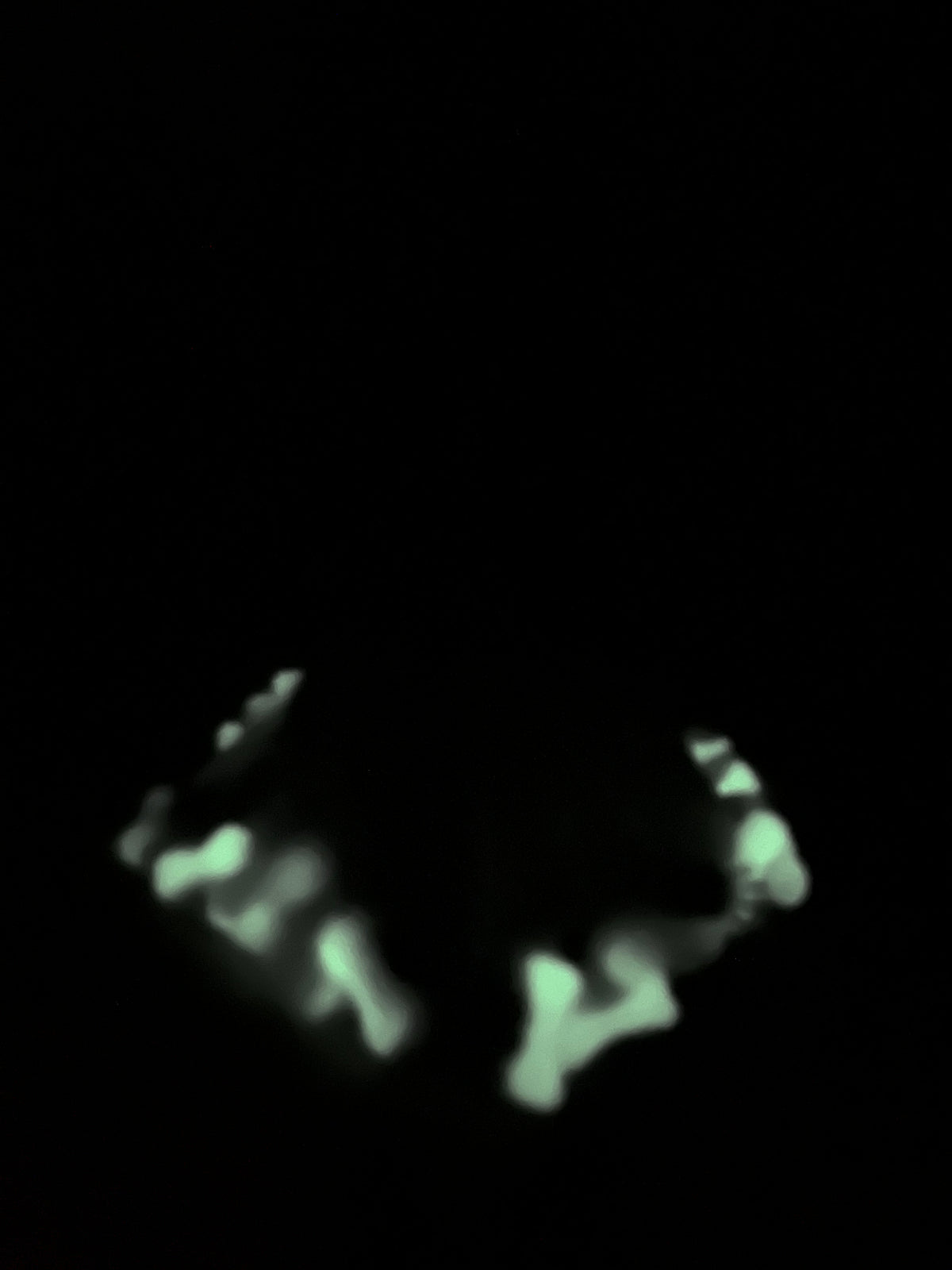 White Spider Ghost
